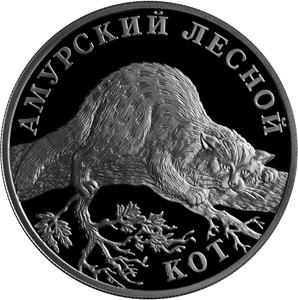 Амурский лесной кот