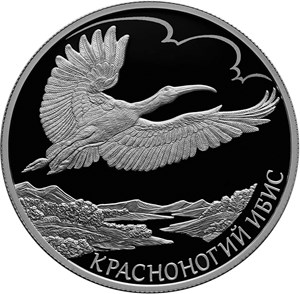 Красноногий ибис