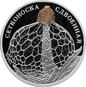 Сетконоска сдвоенная